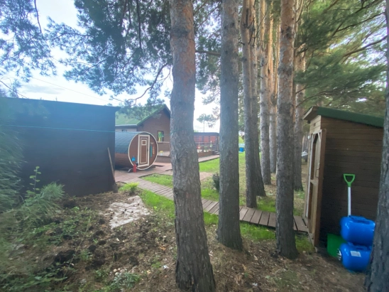 Дом среди сосен