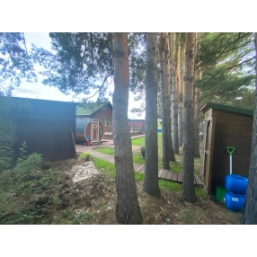 Дом среди сосен